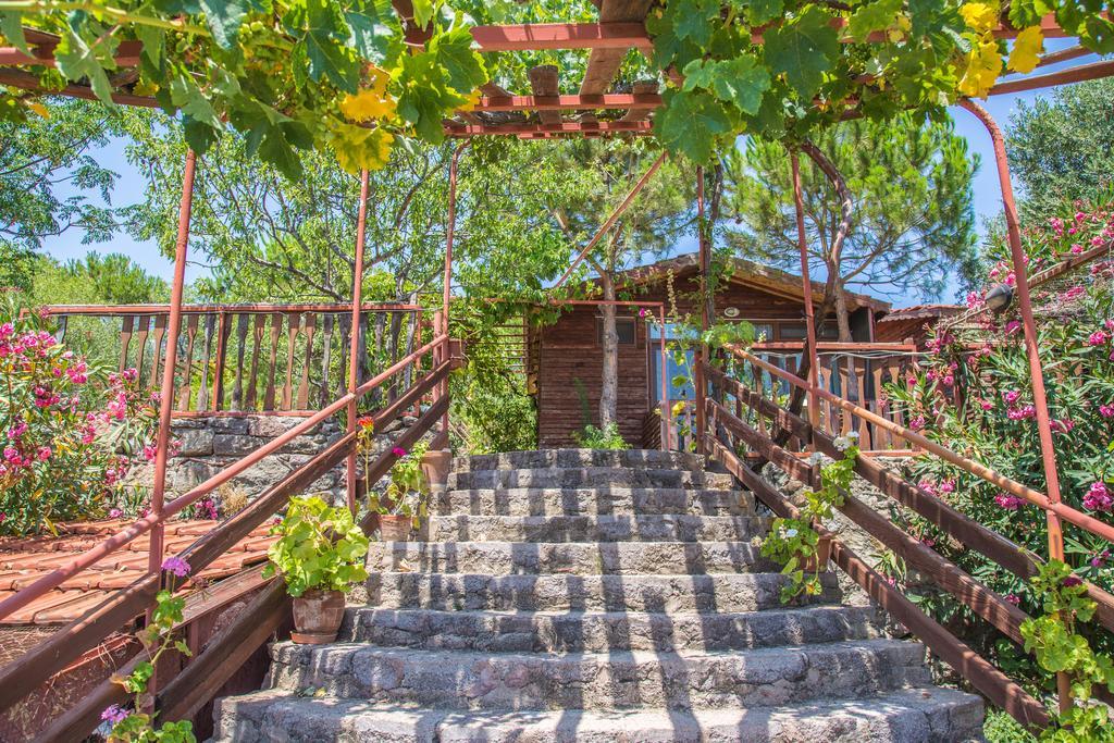 Assos Terrace Hotel מראה חיצוני תמונה